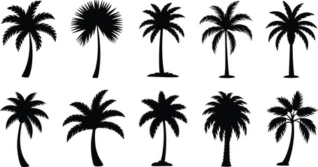 Obraz premium Palm tree silhouettes collection, tropical trees, diverse frond shapes, botanical illustration, landscape design, exotic foliage, beach concept, greenery design, nature elements, plant
