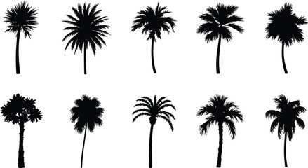 Palm tree silhouettes collection, tropical trees, diverse frond shapes, botanical illustration, landscape design, exotic foliage, beach concept, greenery design, nature elements, plant
