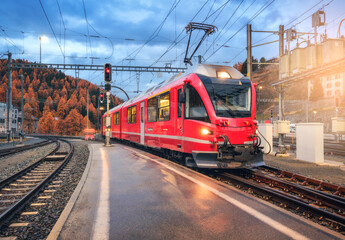 Obraz premium Red modern train on mountain railway station in Swiss Alps in autumn at sunset. Speed train with lights, railroad, wet railway platform, orange trees in fall at dusk. Switzerland. Bernina Express