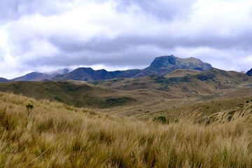 Obraz premium Rolling Paramo Hills on Pichincha Volcano (Quito, Ecuador)