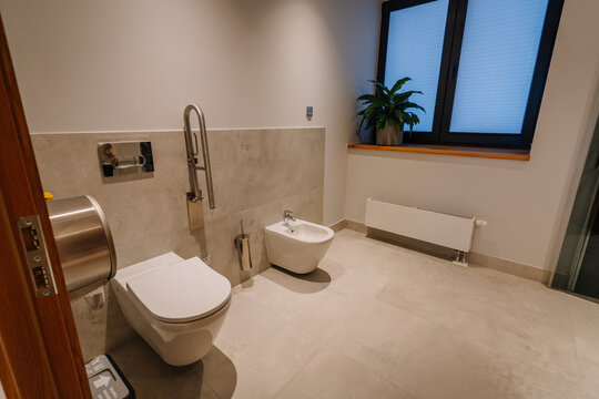 Modern bathroom interior featuring a white toilet and bidet, sleek fixtures, and a potted plant near a large window with natural light