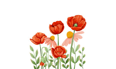Fototapeta premium Beautiful watercolor poppy and echinacea flowers illustration, red floral bouquet with green leaves isolated on black background for greeting cards.