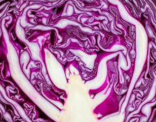 Obraz premium Detailed macro view of sliced purple cabbage showing folded leaf layers and vivid organic structure. Abstract vegetable texture suitable for natural material and food structure concepts.