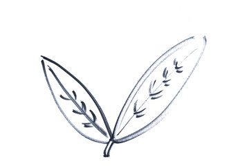 two leaves drawn with a black marker