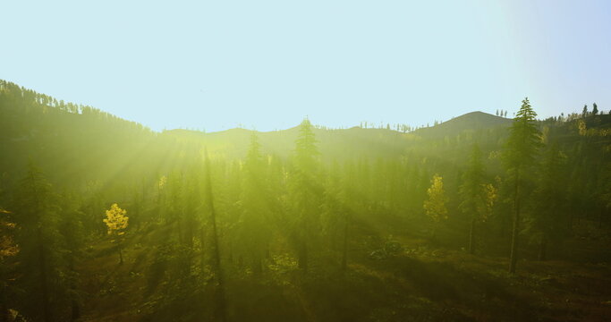 Soft nostalgic valley bathed in golden sunrise, pale haze and warm light soften meadow and hills while film photographer imagines capturing timeless memory