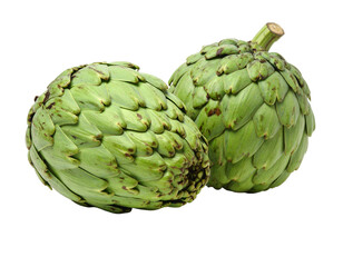 Fototapeta premium Fresh green artichokes with layered textured leaves