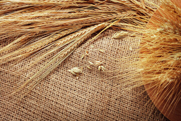 Naklejka premium Wheat ears and grains sit on burlap fabric in a rural setting during daytime
