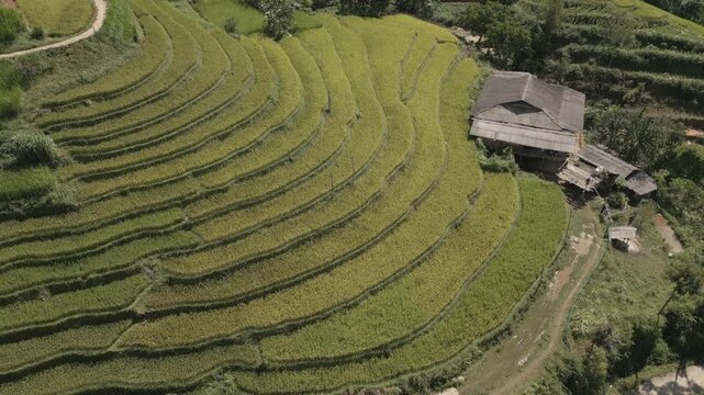 Rice terrace in mountain of Ha Giang provine, Vietnam