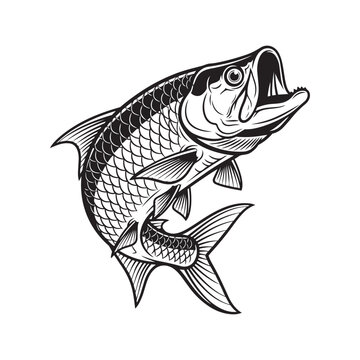 Black and white illustration of a tarpon fish jumping, tarpon, fish, fishing, saltwater