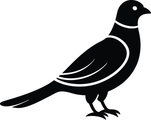 Fototapeta premium Indian Nightjar Silhouette Vector Art Illustration