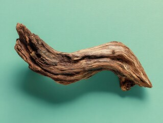 Fototapeta premium driftwood piece isolated on a green background