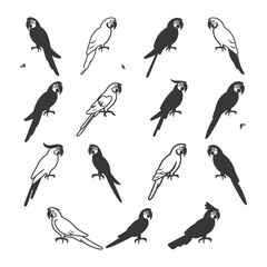Obraz premium A Collection of Twelve Parrot Silhouettes in Black and White