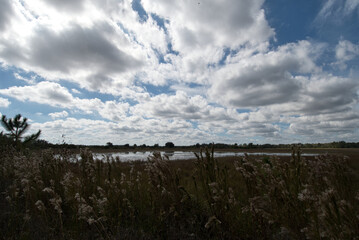 Obraz premium clouds over the sky