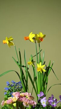 Floral arrangement with spring flowers. Slow rotation