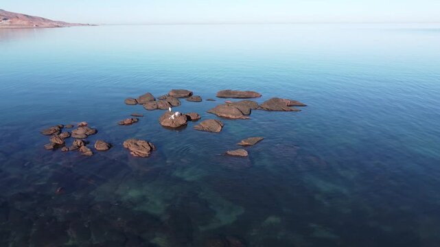 Birds on rocks in the ocean drone orbit 