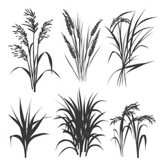 Obraz premium Collection of Six Black and White Grass Silhouettes