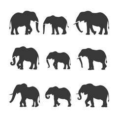 Obraz premium Nine Black Silhouettes of Elephants in Various Poses