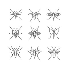 Obraz premium Nine Gray Line Drawings of Mosquitoes