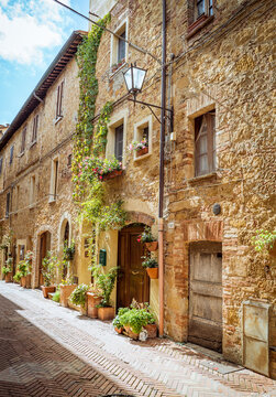 Pienza, Toscana, Italy: Narrow cobblestone street with potted plants and old buildings