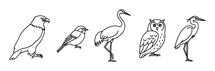 Fototapeta premium Five different bird species including an eagle, owl, crane, heron, and sparrow are depicted in a clean, minimalist black and white line art style for a modern graphic icon set