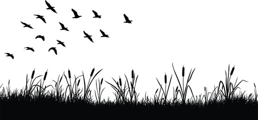 Black silhouettes of birds flying over grass and cattails © Borhan Creatives