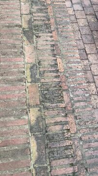 Background texture of an old brick path with terracotta brick. Wet Red Brick Pavement Texture Close Up