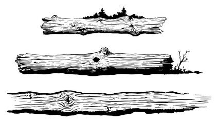 Set of hand drawn horizontal wood logs and tree trunks with detailed grain texture © AdrianGebert