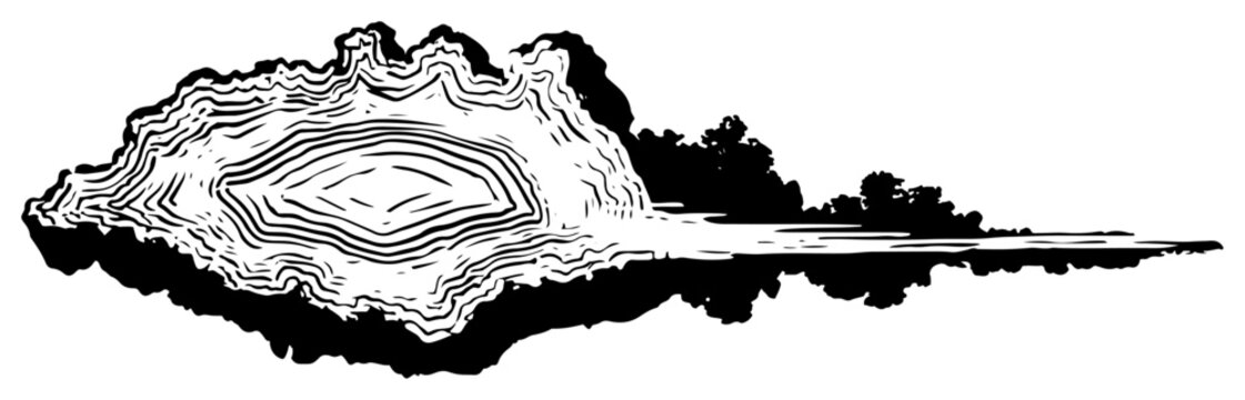 Abstract ink drawing of organic wood grain texture and wavy circular patterns
