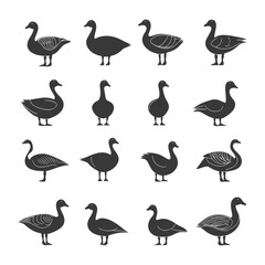 Obraz premium Sixteen Black Silhouettes of Geese in Various Poses