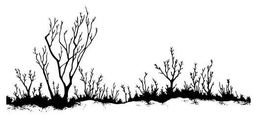 Black silhouette of bare winter trees and thick bushes against a white background © AdrianGebert