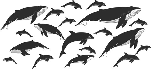 Whale and Dolphin Silhouette Set Black and White Marine Mammal Vector Illustration Ocean Wildlife Collection Isolated on White