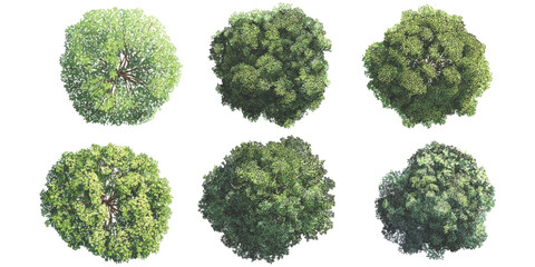 Set of realistic top view trees for landscape design and architectural planning isolated on white background vector illustration © ZenVectors