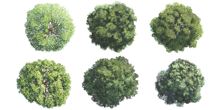 Set of realistic top view trees for landscape design and architectural planning isolated on white background vector illustration
