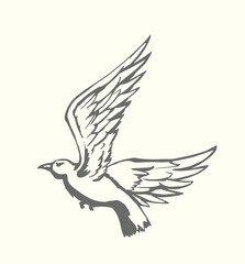 Fototapeta premium Vector drawing. Big flying bird