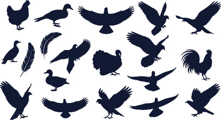 Farm and wild bird silhouettes vector set, chicken duck turkey and flying birds collection, black poultry and feather clipart bundle © Ideasy Mind