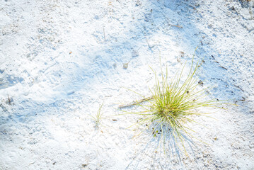 Obraz premium Terme San Filippo, Siena, Tuscany, Italy: White sand with green grass and shadows