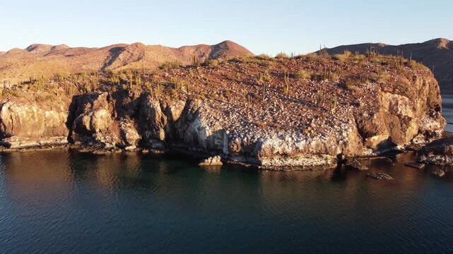 Island covered in cactus and wild birds in ocean 