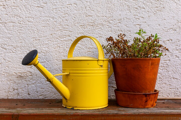 Bright yellow watering can beside a terracotta pot with dried herbs on a wooden bench in a sunny garden © funkenzauber