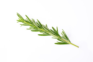 Fototapeta premium Rosemary branches on the white background