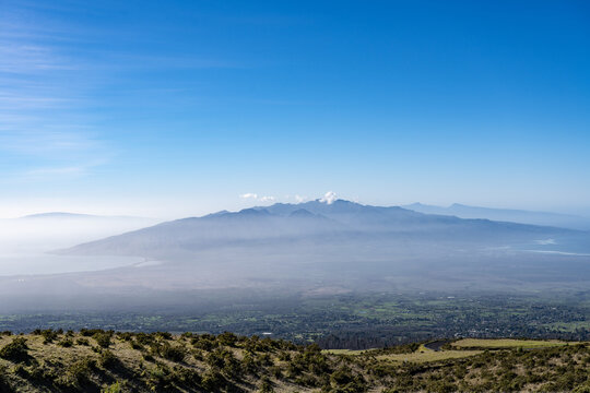 Haleakalā Highway, East Maui Volcano, Hawaii. shield volcano. Leptecophylla tameiameiae, pūkiawe or maiele.. Family Ericaceae. In the distance are The West Maui Mountains (West Maui Volcano, or Mauna