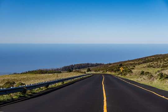 Haleakalā Highway, East Maui Volcano, Hawaii. shield volcano. Leptecophylla tameiameiae, pūkiawe or maiele.. Family: Ericaceae