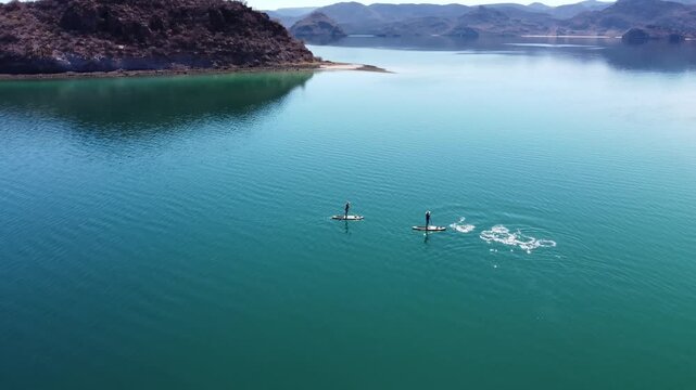Two paddle boarders with dolphins 