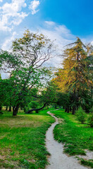 Fototapeta premium Winding path through green park landscape