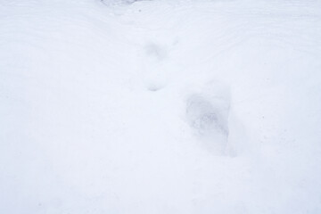 A deep, solitary footprint is pressed into a vast, pristine expanse of fresh white snow. The indentations reveal the soft, powdery texture of the snowfall, which appears uniform and untouched across 