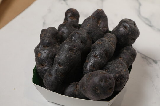 D&eacute;couverte de la pomme de terre noire ancienne