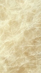 Fototapeta premium Abstract Light Golden Fibrous Texture Background