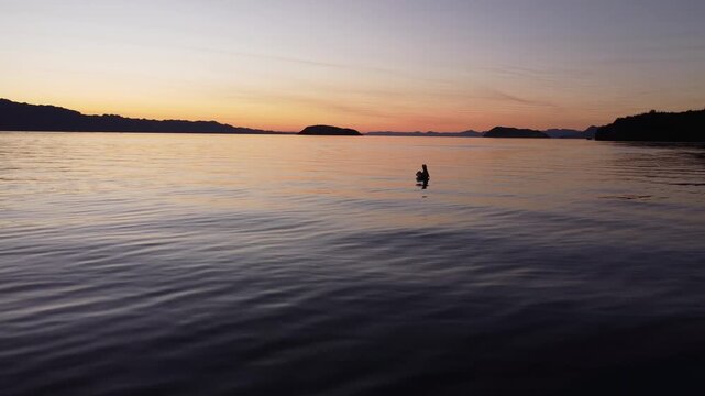 Pelican flies away silhouetted on water 