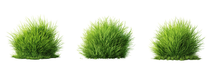 Set of Vibrant green ball grass Minimalistic on transparent png background. Ai generated
