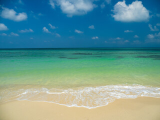 Obraz premium Peaceful panorama tropical sea beach with gentle waves rolling onto golden sand under bright blue sky with fluffy white clouds. relaxing summer scene perfect scene for travel holliday and nature lover
