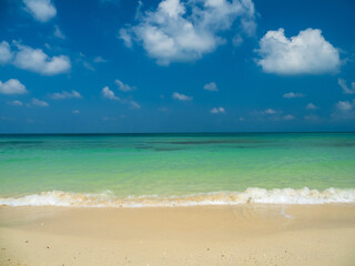 Fototapeta premium Peaceful panorama tropical sea beach with gentle waves rolling onto golden sand under bright blue sky with fluffy white clouds. relaxing summer scene perfect scene for travel holliday and nature lover